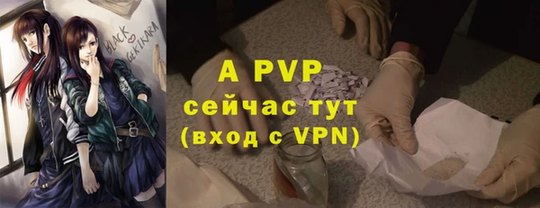 стафф Иннополис