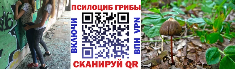 Галлюциногенные грибы ЛСД  Барыш 